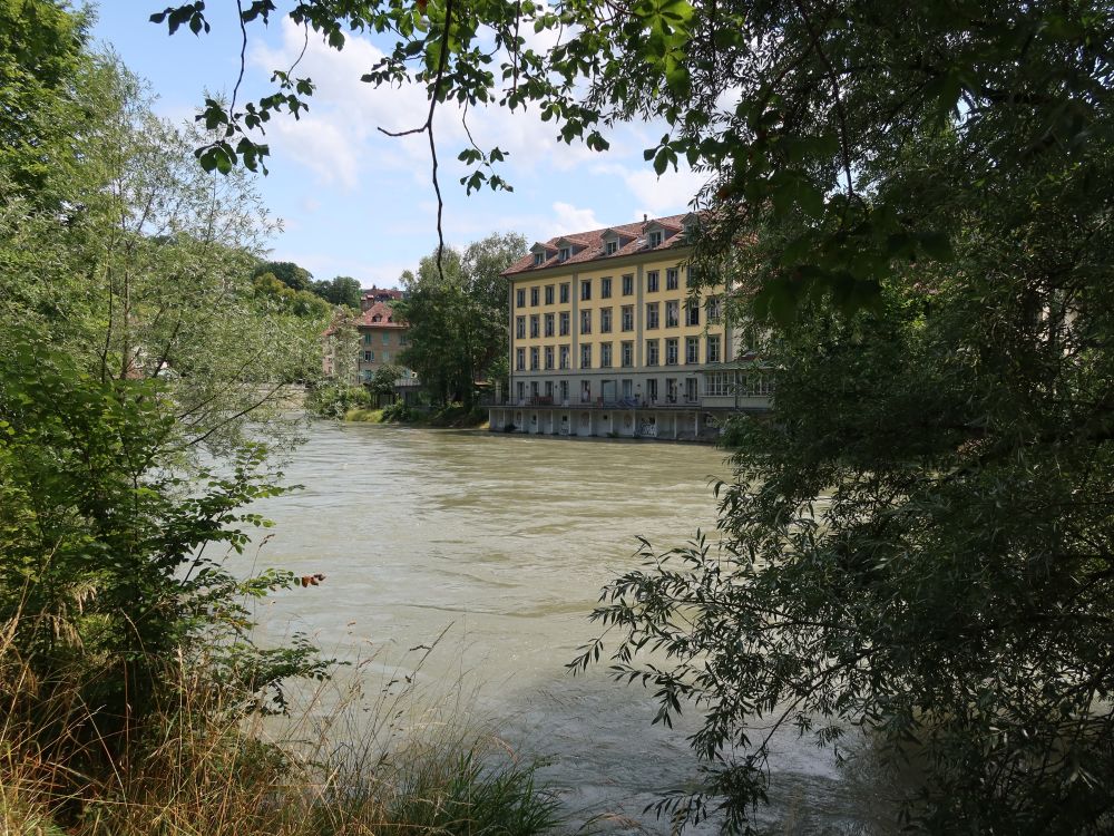 Pelikanhaus an der Aare