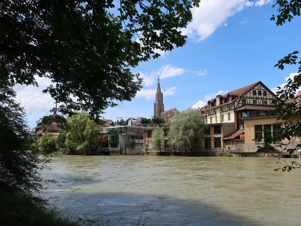 Aare und Münster