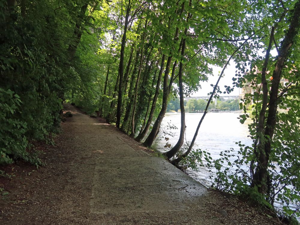 Uferweg an der Aare