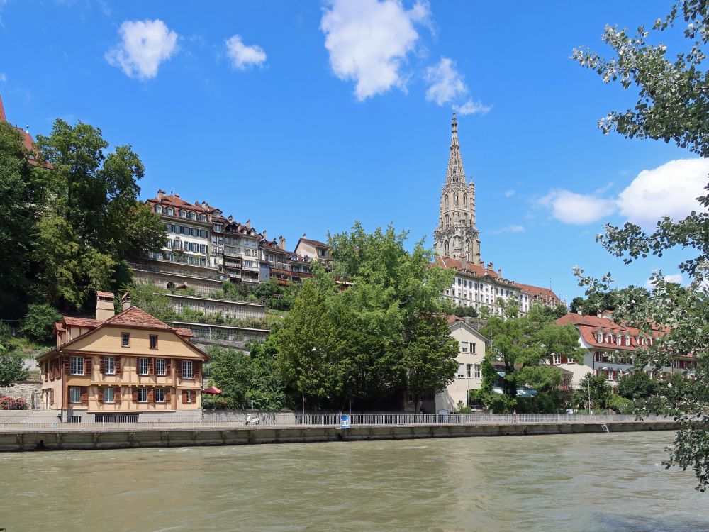 Blick über die Aare zum Münster