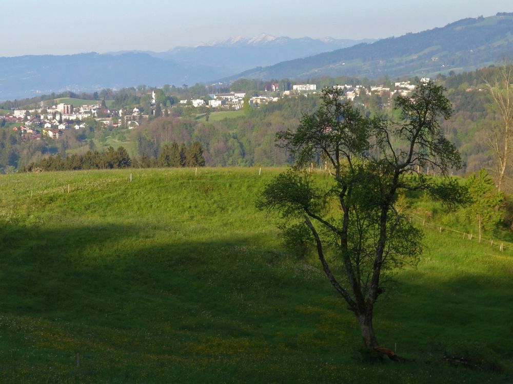 Blick Richtung Wittenbach