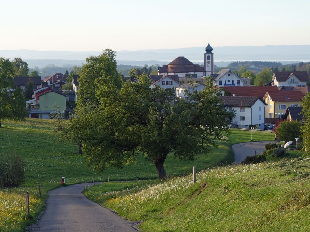 Bernhardzell