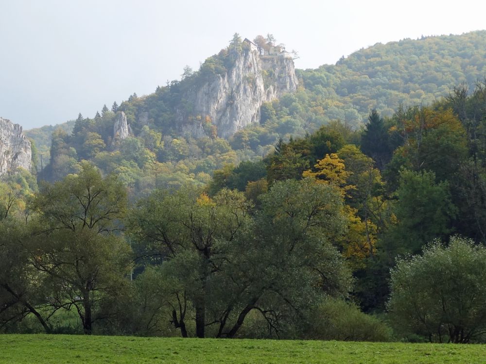 Blick zum Schloss Bronnen