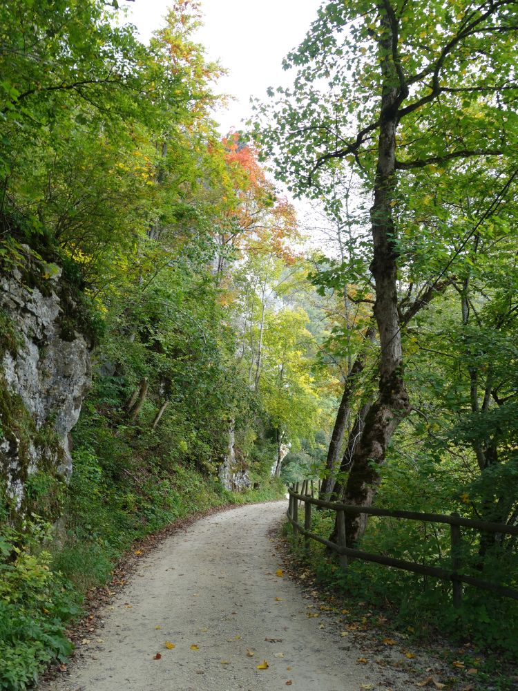 Donau-Uferweg