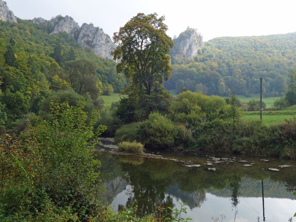 Blick zum Schloss Bronnen