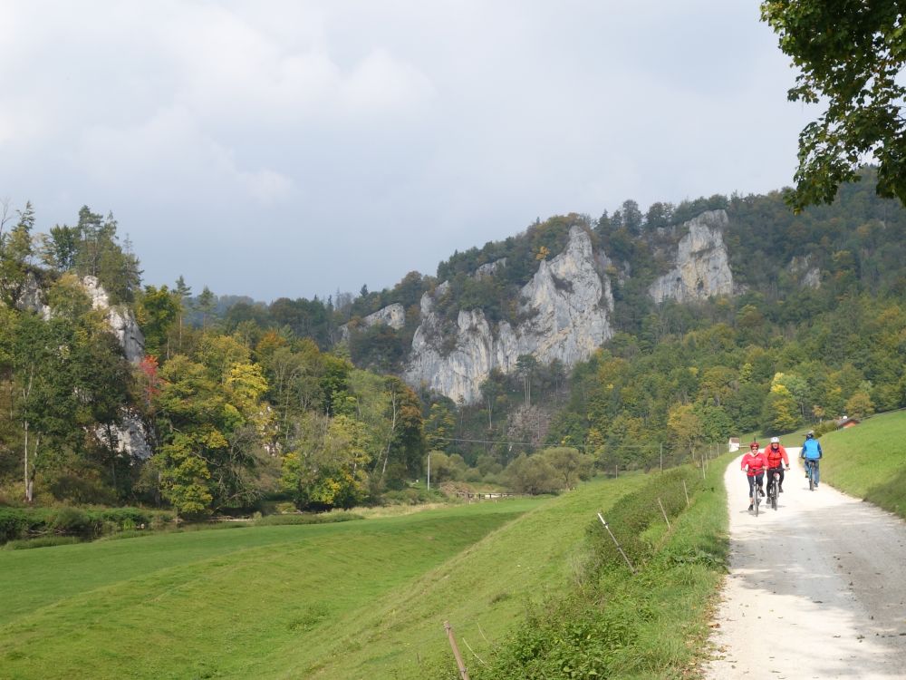 Weg zum Jgerhaus