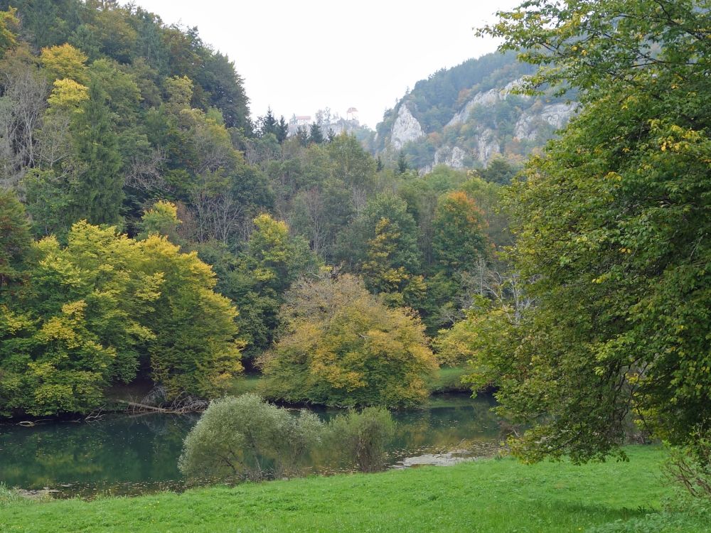 Donau und Schloss Bronnen