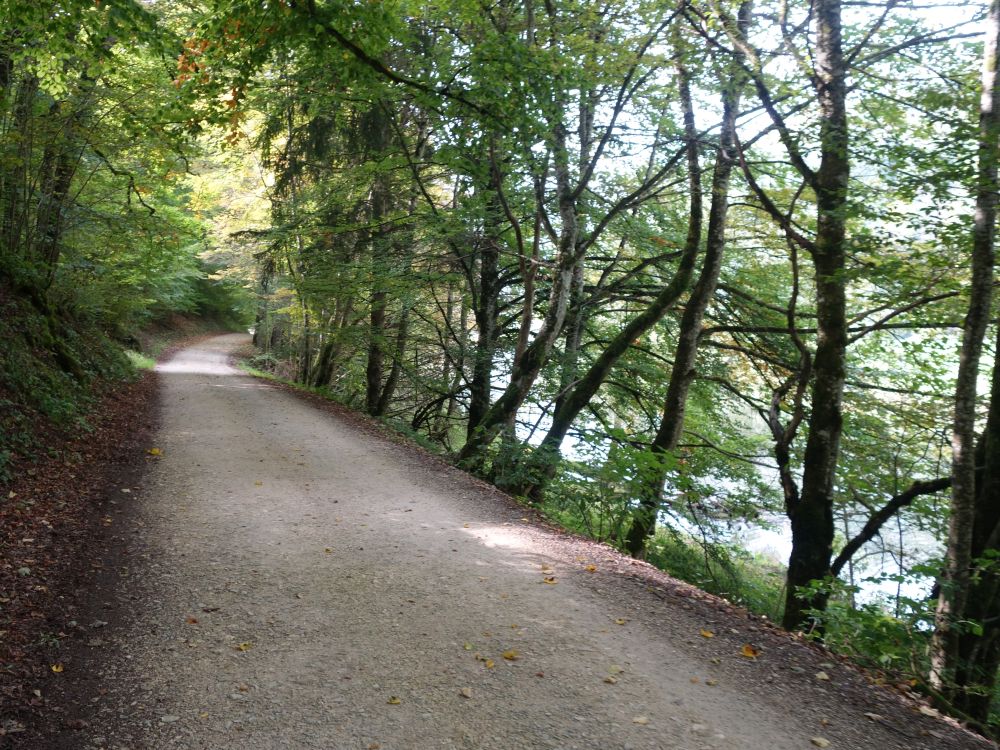 Donau-Uferweg