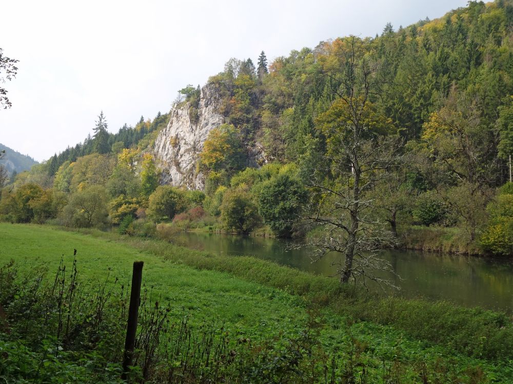 Felsen an der Donau