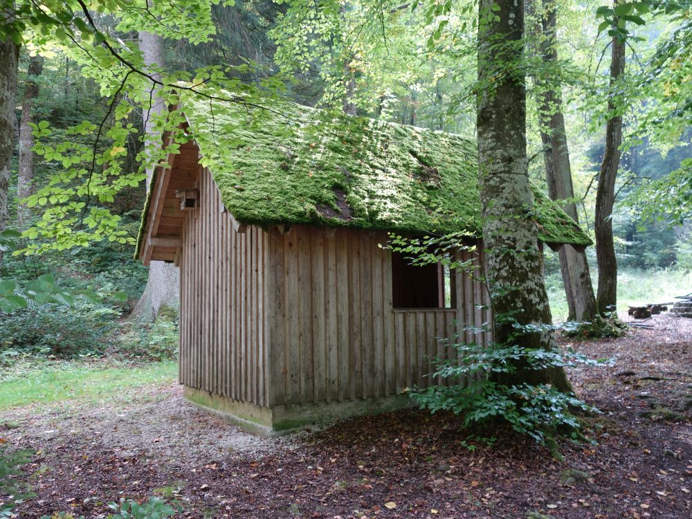 Waldhütte