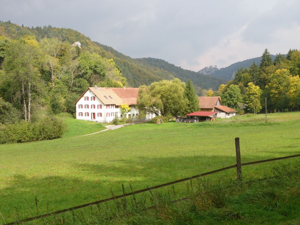 Scheuerlehof und Schloss Bronnen