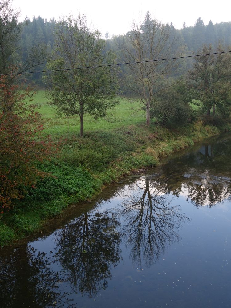 Spiegelung in der Donau