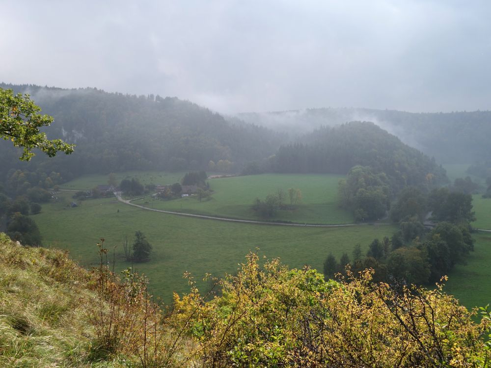 Blick zur Ziegelhütte