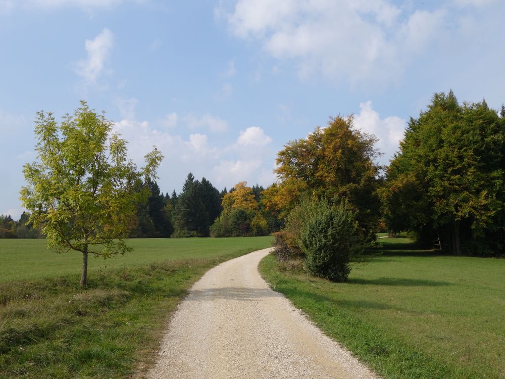 Wanderweg