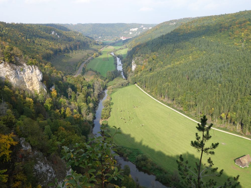 Blick Richtung Beuron