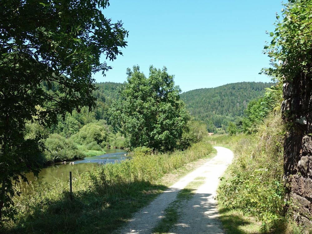 Arche-Pfad an der Donau