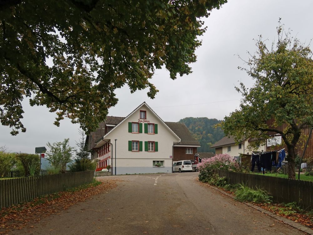 Haus Zum Seeblick in Seelmatten