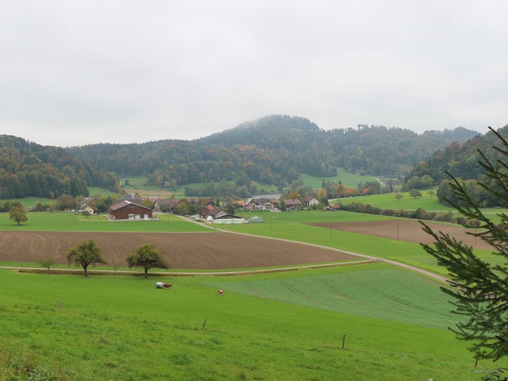 Blick Richtung Seelmatten und Bichelsee