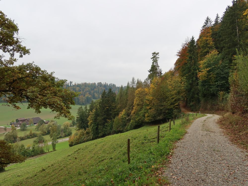 Weg am Waldrand und Rossweid