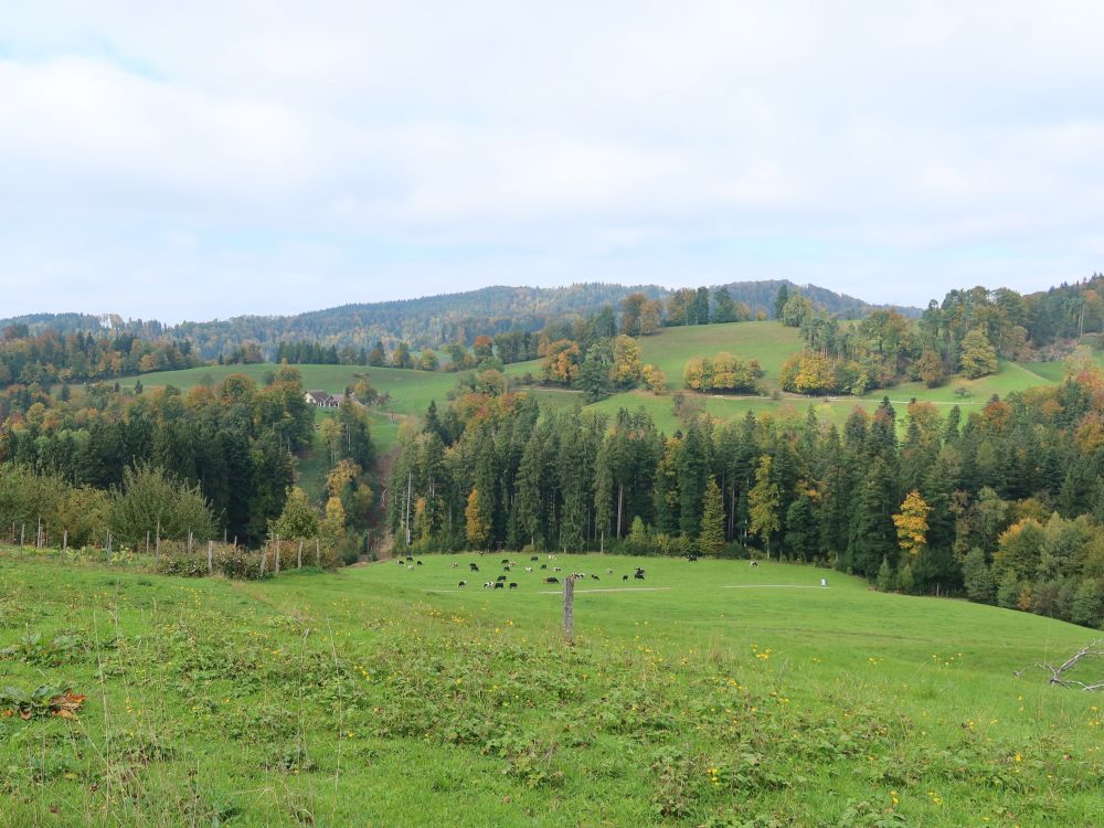 Blick Richtung Schnurrberg
