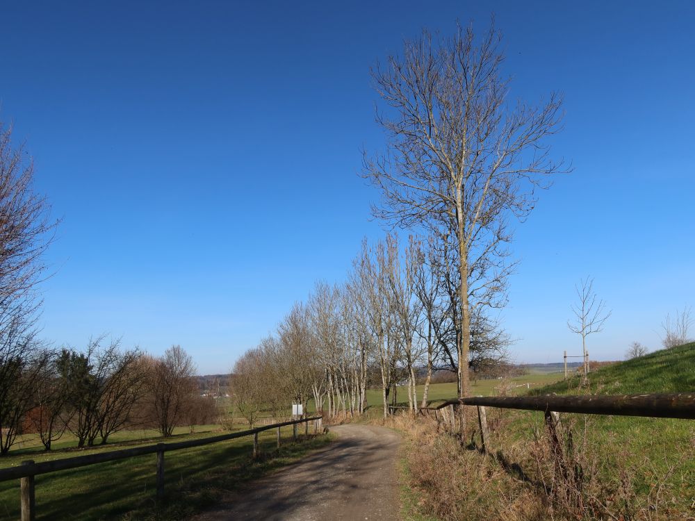 Weg durch den Golfplatz Erlen