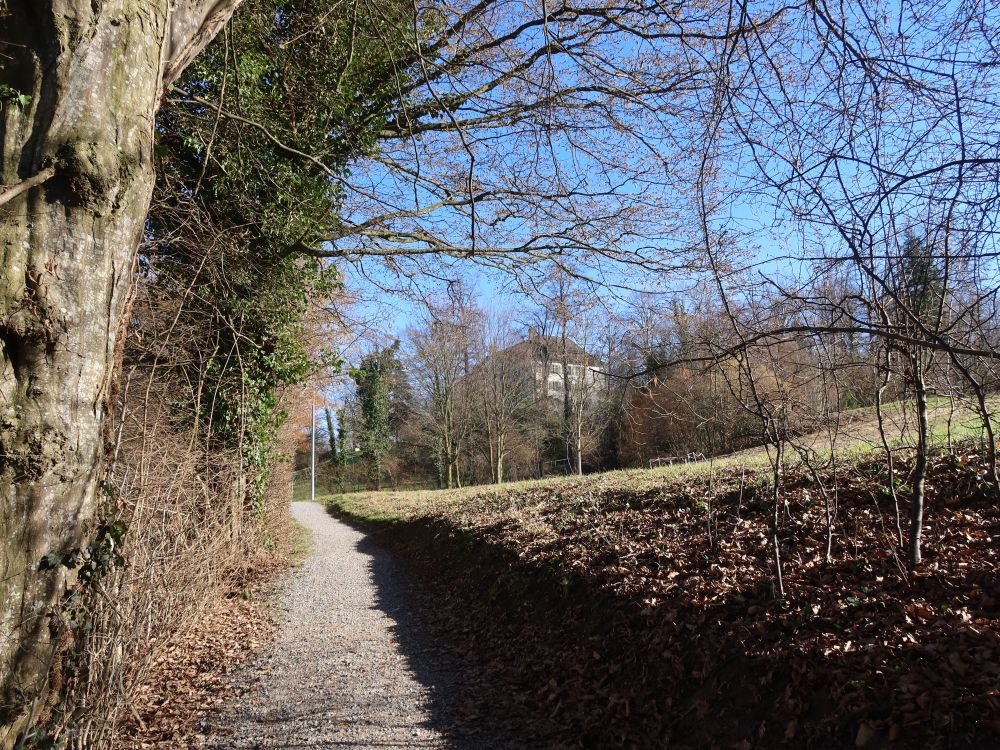 Pfad mit Blick zum Schloss Eppishausen