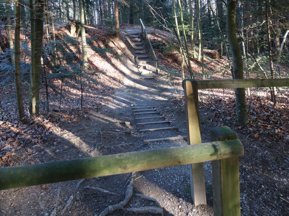 Treppe bei Burgstelle Biessenhofen