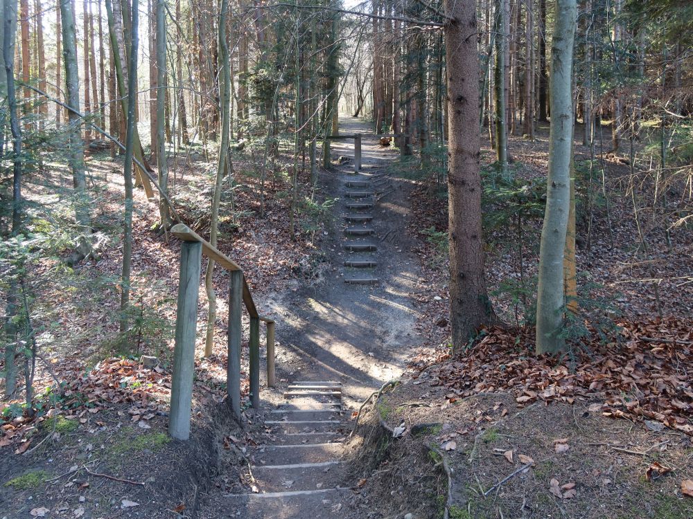 Treppe bei Burgstelle Biessenhofen