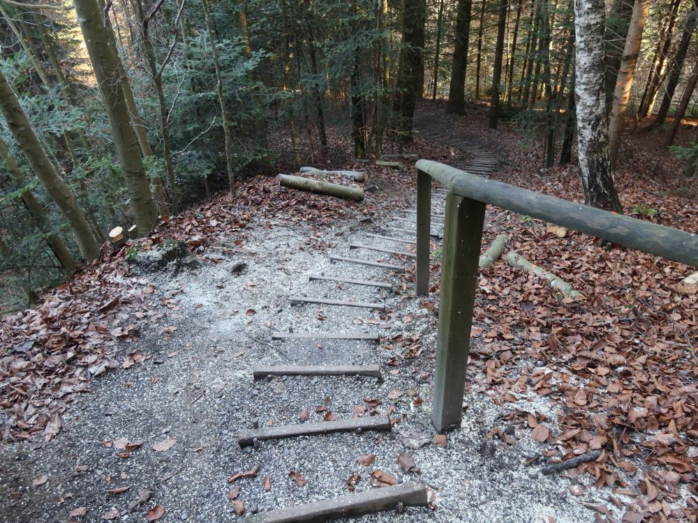 Treppe bei Burgstelle Biessenhofen