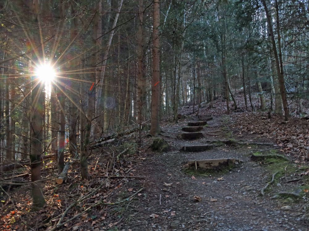 Treppe mit Gegenlicht