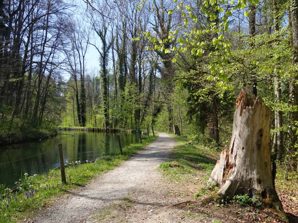 Thurweg am Kanal