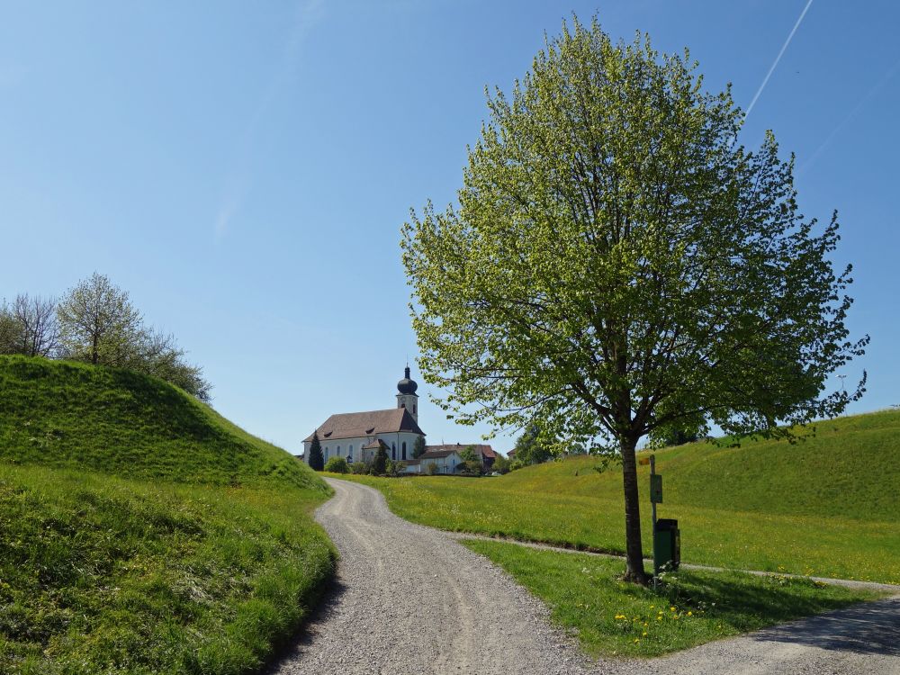 Kirche von Niederhelfenschwil