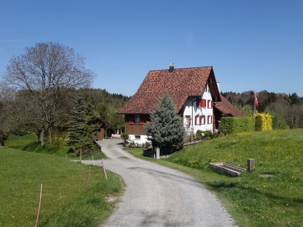 Haus bei Niederhelfenschwil