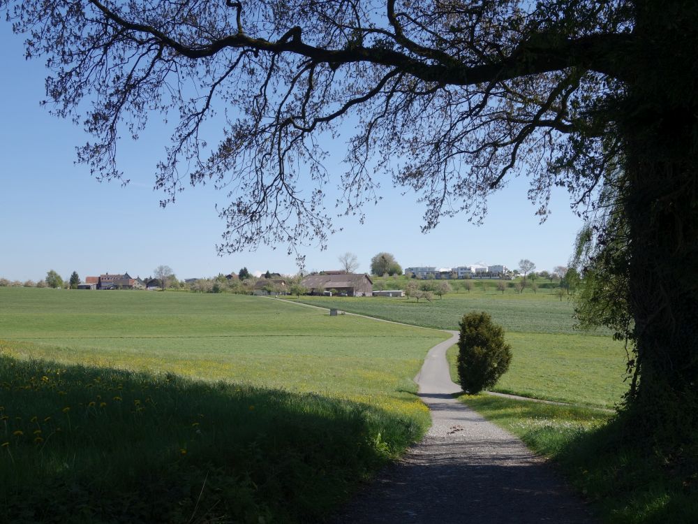 Blick Richtung Niederhelfenschwil