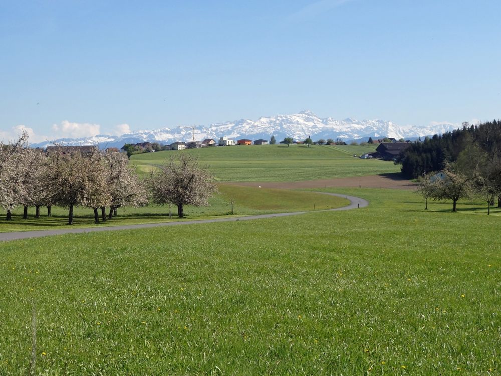 Sntis ber Niederhelfenschwil