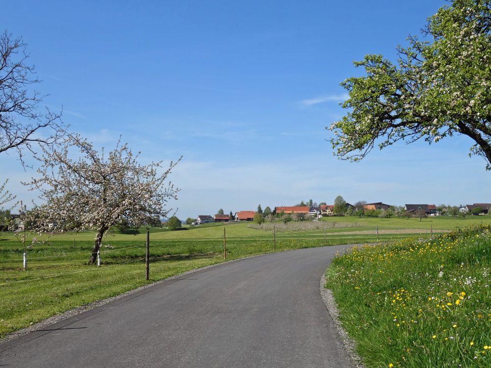 Blick Richtung ntetschwil