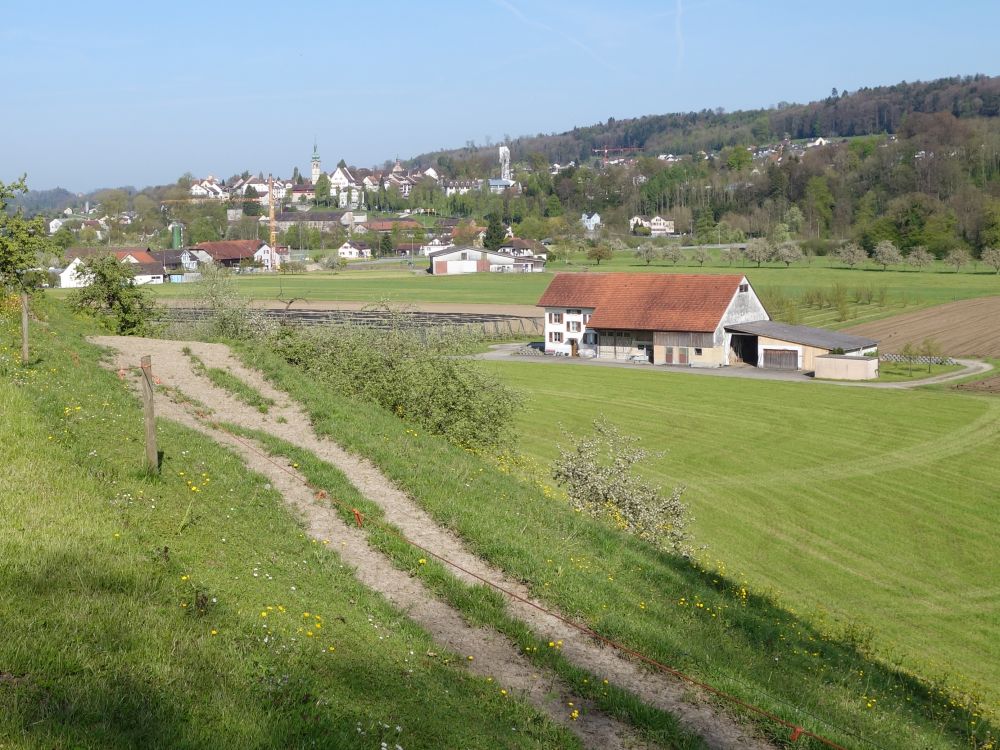 Blick Richtung Bischofszell