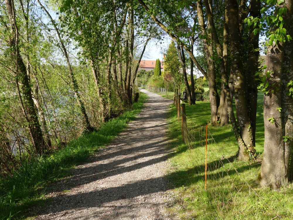 Thurweg