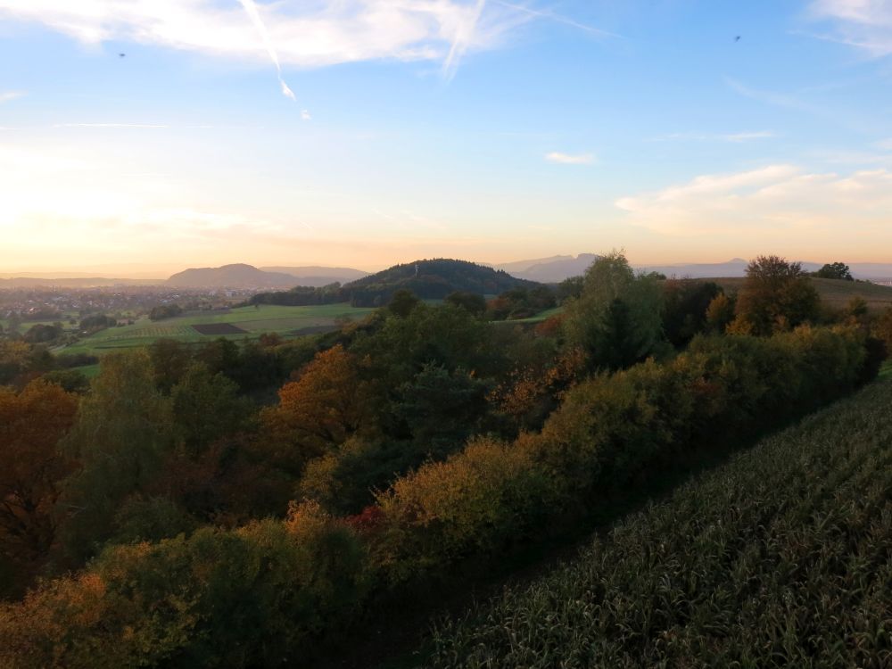 Blick zum Hartberg