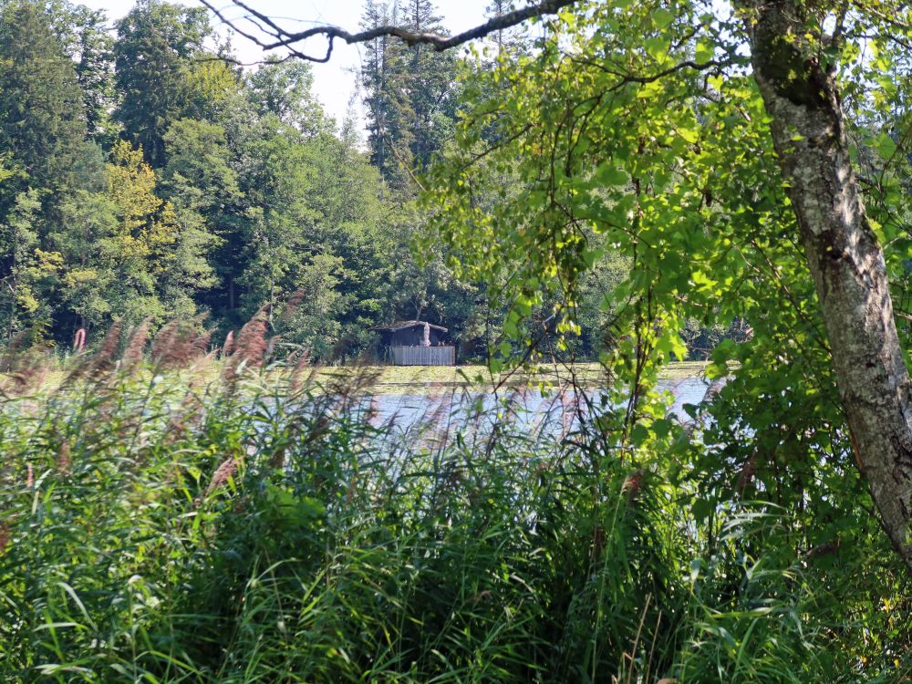 Hütte am Buchsee