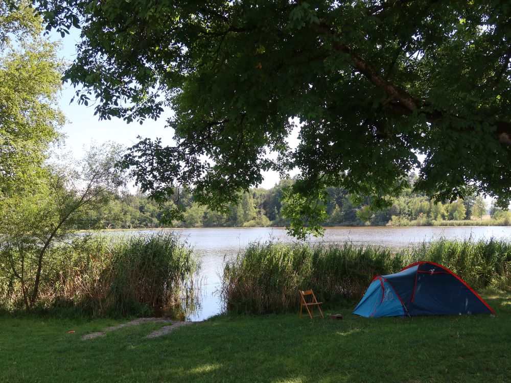 Zelt am Buchsee