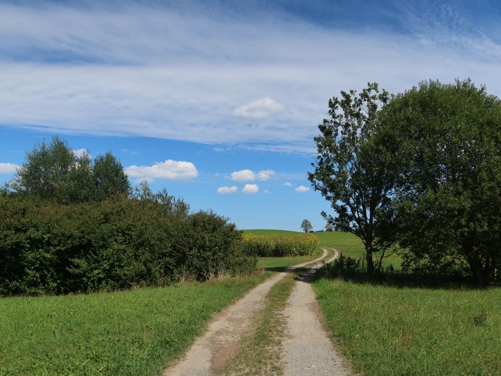 Wirtschaftsweg