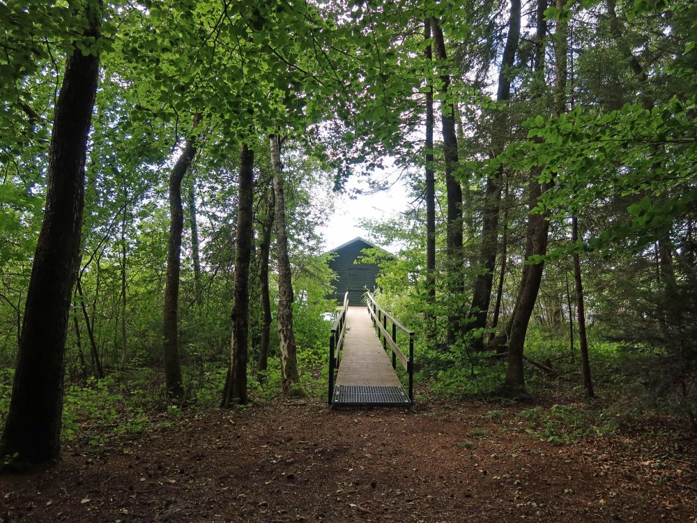 Steg und Hütte am Vorsee