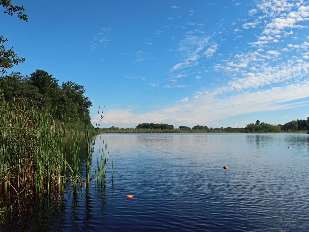 Häcklerweiher