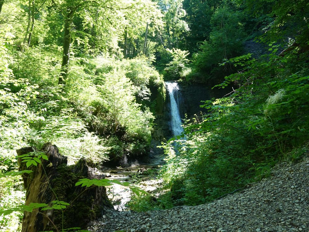 Schleifenbachfall