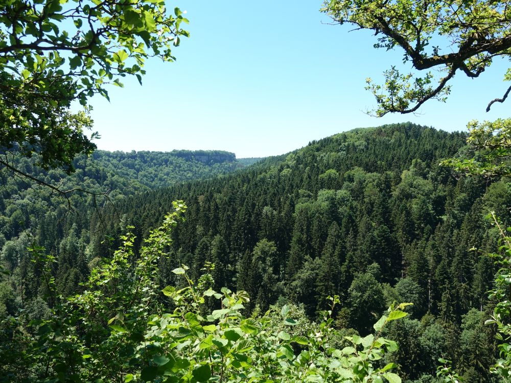 Blick über die Wutachschlucht