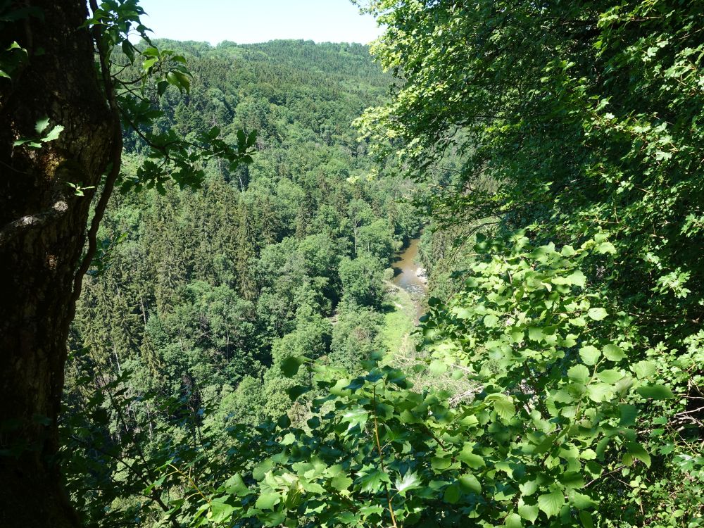 Blick auf die Wutach