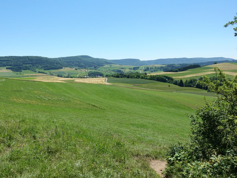 Blick in Richtung Fützen