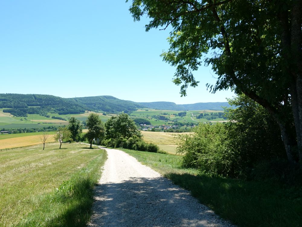 Blick in Richtung Fützen