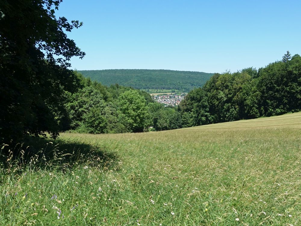 Blick Richtung Blumberg